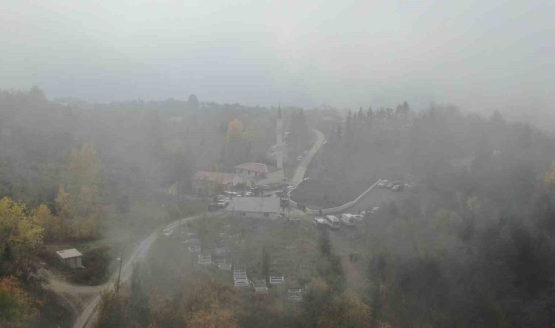 Anne ve oğuldan 3 gündür haber alınamıyor: Yoğun sis altında 16 kilometrelik alanda arama sürüyor Kastamonu’nun Bozkurt ilçesinde 3 gün önce kayıp olan anne ve
