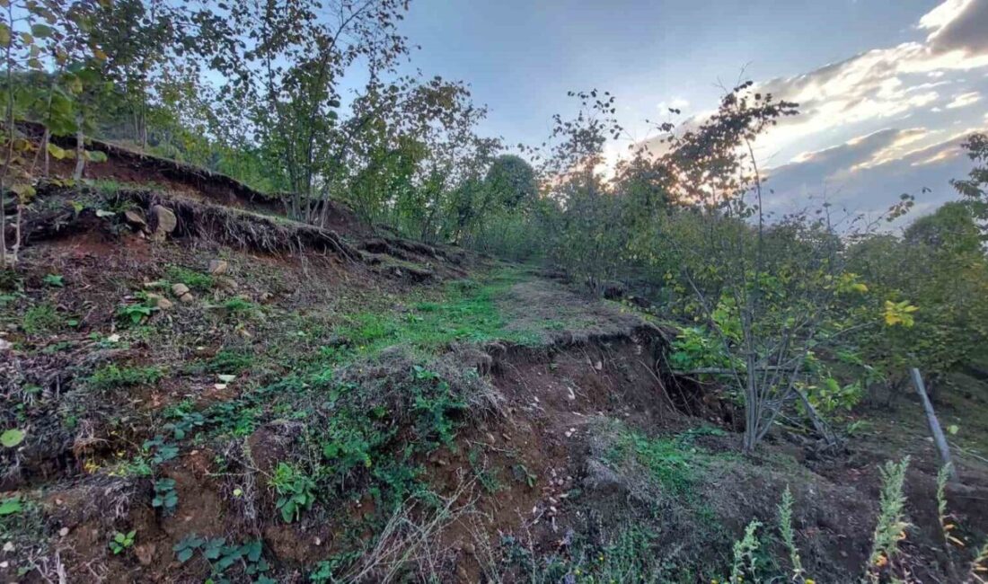 Sakarya’nın Hendek ilçesinde bölgedeki taş ocağı, mahalleyi parça parça kaymasına