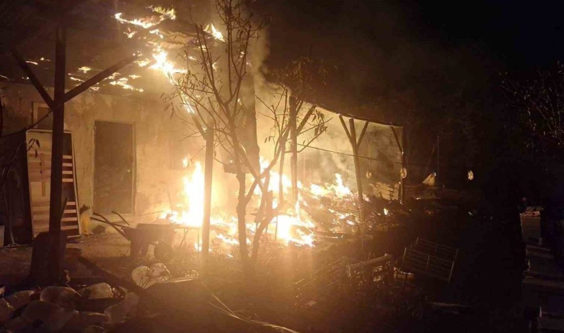 Arı kovanlarının bulunduğu sundurma yapıda yangın Bilecik’te içinde arı kovanlarında bulunduğu sundurma yapıda çıkan yangın korkuttu.