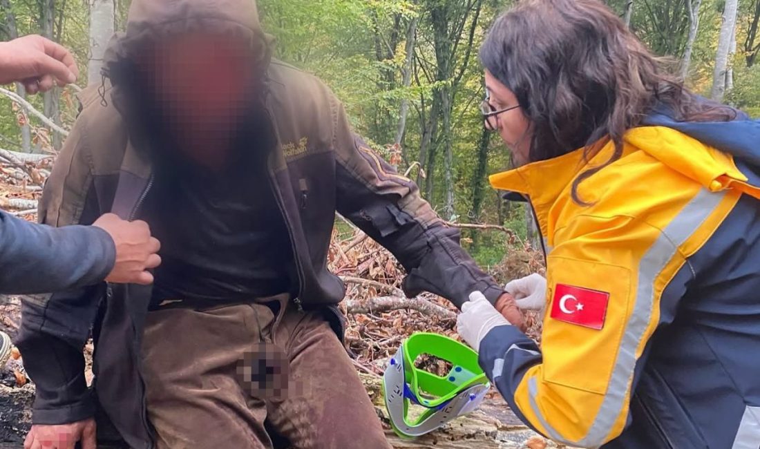 Kastamonu’nun Abana ilçesinde ormanda bir ayının saldırısına uğrayan vatandaş yaralandı.