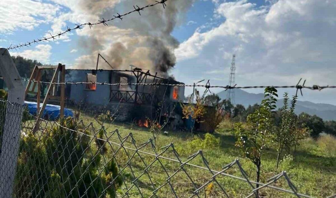 Bağ evinde korkutan yangın Bilecik’te bir bağ evinde çıkan yangında ev kullanılamaz hale geldi.