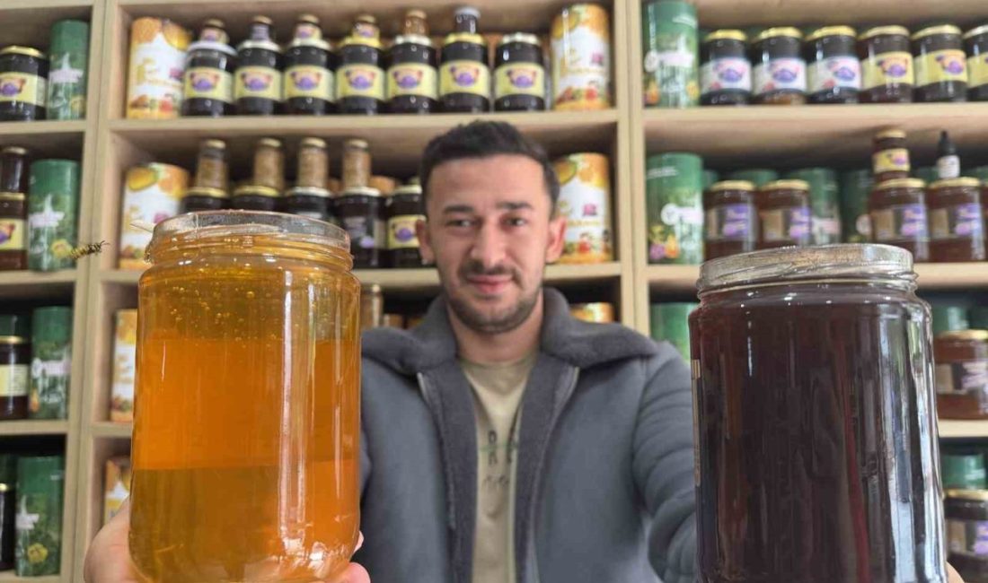 Düzce’de yeni bal sağımlarının başlamasıyla sahte bala karşı uyarıda bulunan