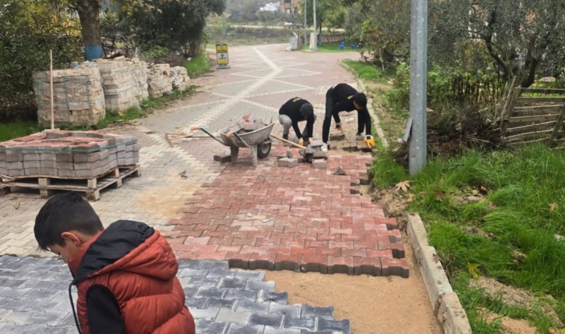 Bayırköy’de bakım ve onarım çalışmaları ile yollar daha güvenli hale getiriliyor Bilecik’in Bayırköy beldesinde yapılan bakım ve onarım çalışmaları ile yol