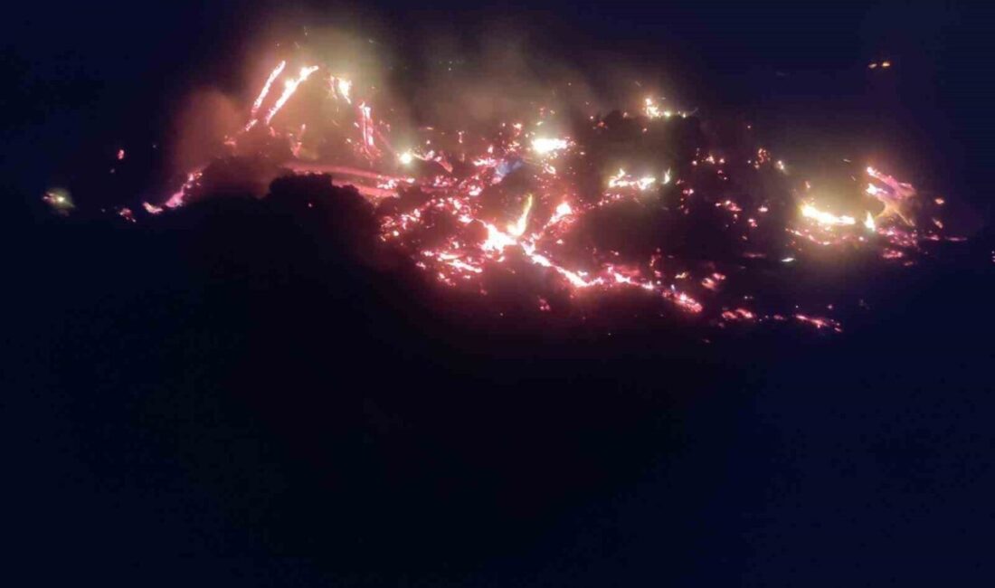 Bilecik’te, çürümüş ağaç ve köklerin kontrollü olarak yakılması sırasında rüzgarın