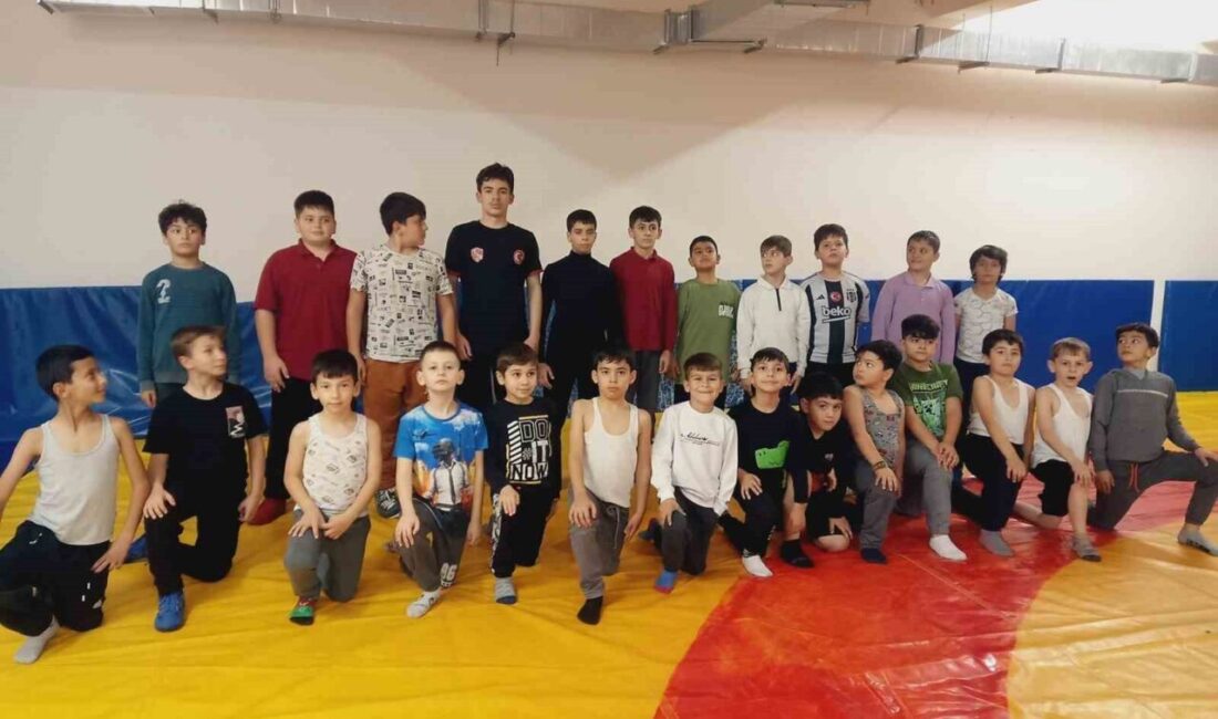 Bilecik’te Gençlik ve Spor okulları bünyesinde güreş ve wushu antrenmanları