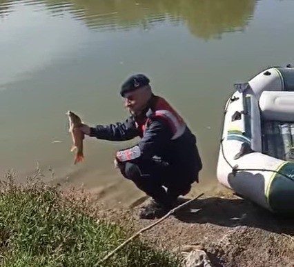 Bilecik’in Osmaneli ilçesinde yapılan denetimlerde yasadışı balık avcılığı yapan kişilere