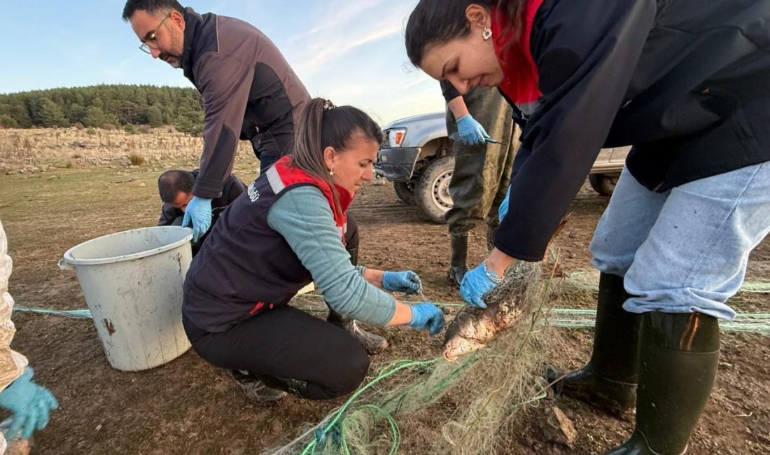 Bolu’da 5 kilometrelik hayalet ağ toplandı: 500 balık canlı kurtarıldı Bolu’nun Seben ilçesindeki Taşlıyayla Göleti’nde 5 kilometre uzunluğunda hayalet ağ