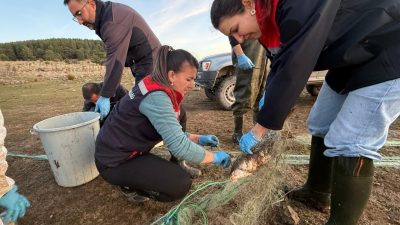Bolu’nun Seben ilçesindeki Taşlıyayla Göleti’nde 5 kilometre uzunluğunda hayalet ağ