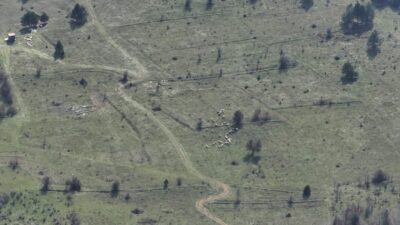 Bolu’nun Mengen ilçesine bağlı Kavacık köyünde kaybolan 30 küçükbaş hayvan,