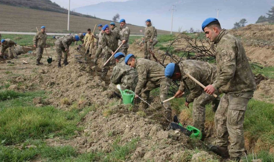 Bolu 2. Komando Tugayı’nda görevli olan komandolar, Mudurnu ilçesinde yeşil