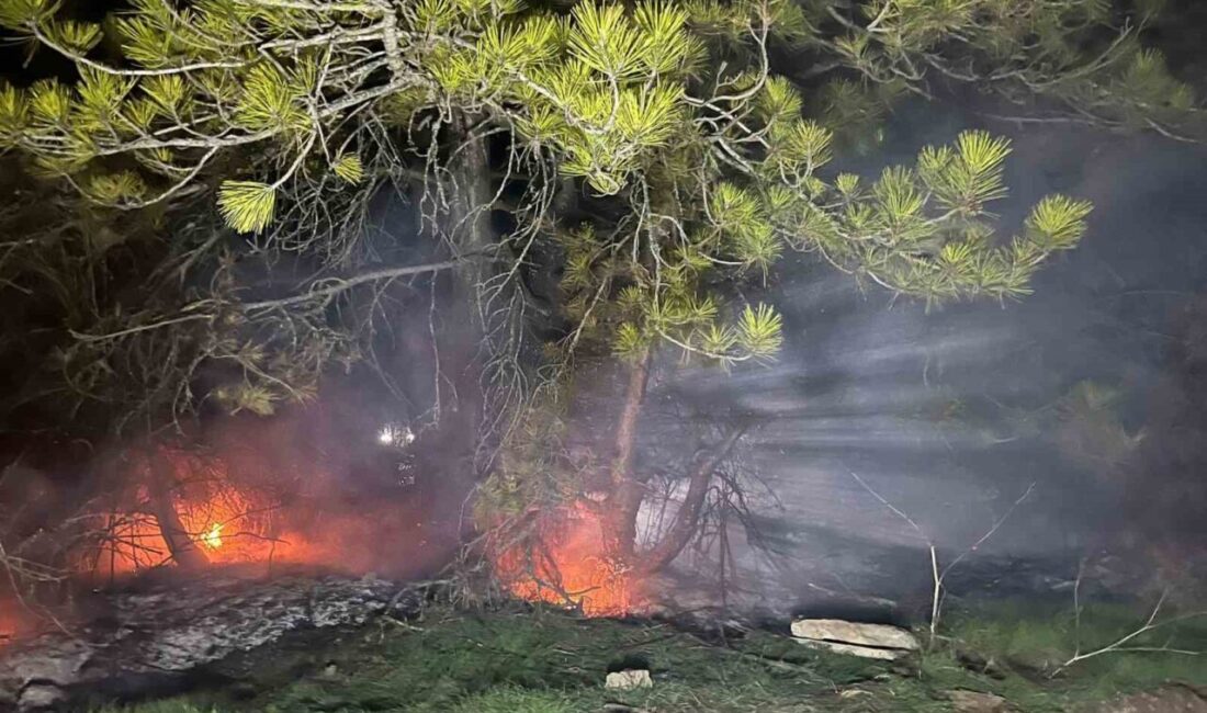 Bolu’nun Mudurnu ilçesinde ormanlık alanda çıkan yangın, köylülerin ve orman