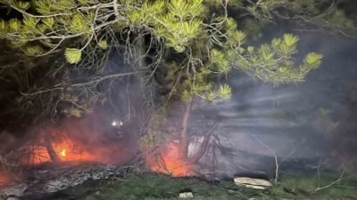 Bolu’nun Mudurnu ilçesinde ormanlık alanda çıkan yangın, köylülerin ve orman