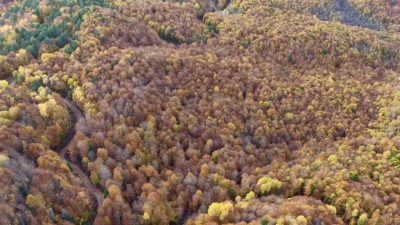 Bolu’nun Mengen ilçesinde sonbahar renklerine bürünen ormanlık alanlar kartpostallık manzaralar