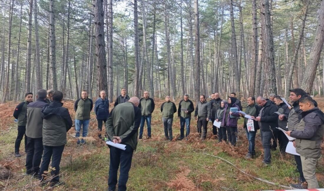 Bolu Orman Bölge Müdürlüğü, ormanların genetik kalitesini korumak ve geleceğe