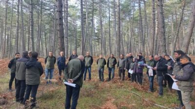 Bolu Orman Bölge Müdürlüğü, ormanların genetik kalitesini korumak ve geleceğe