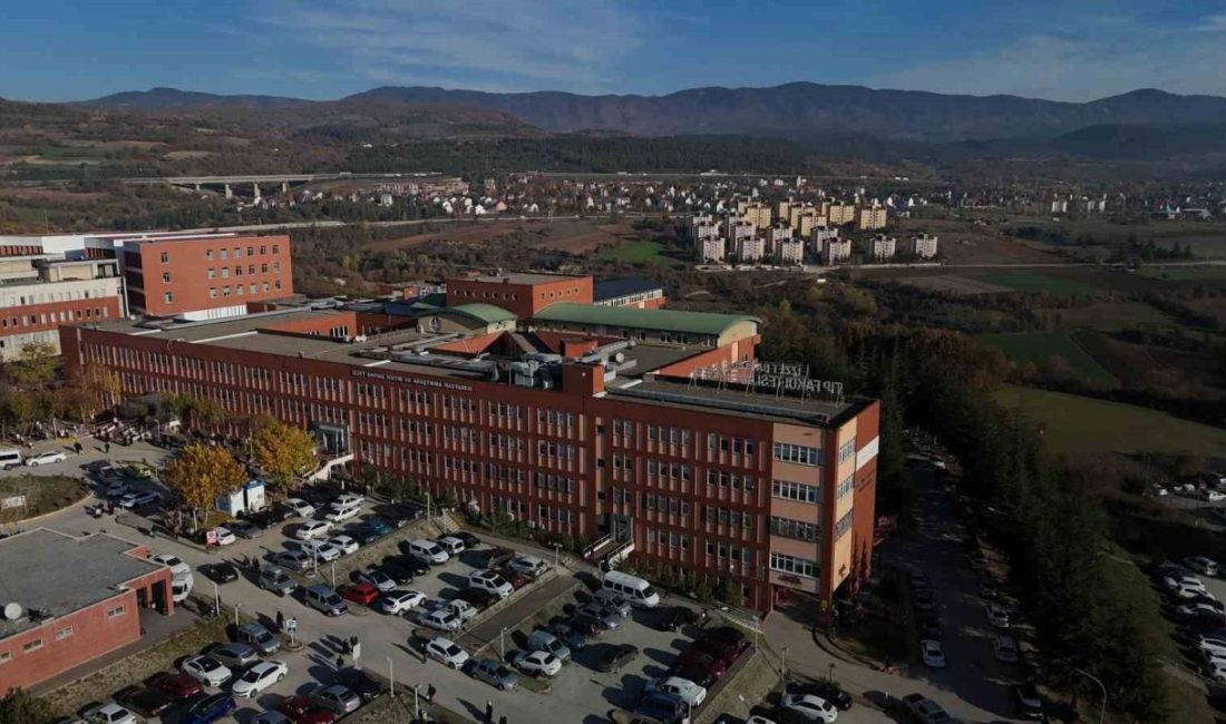 Bolu’nun Mudurnu ilçesinde topladığı mantarları yiyen bir kişi, işe gitmeyince