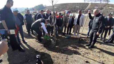 Bolu’da 15 Temmuz’da yanan Delice köyü ormanlık alanı, 11 Kasım