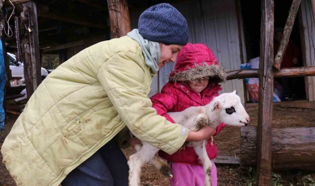 Bolu’nun Mudurnu ilçesinde havaların soğuması ve kar yağışı beklentisiyle birlikte