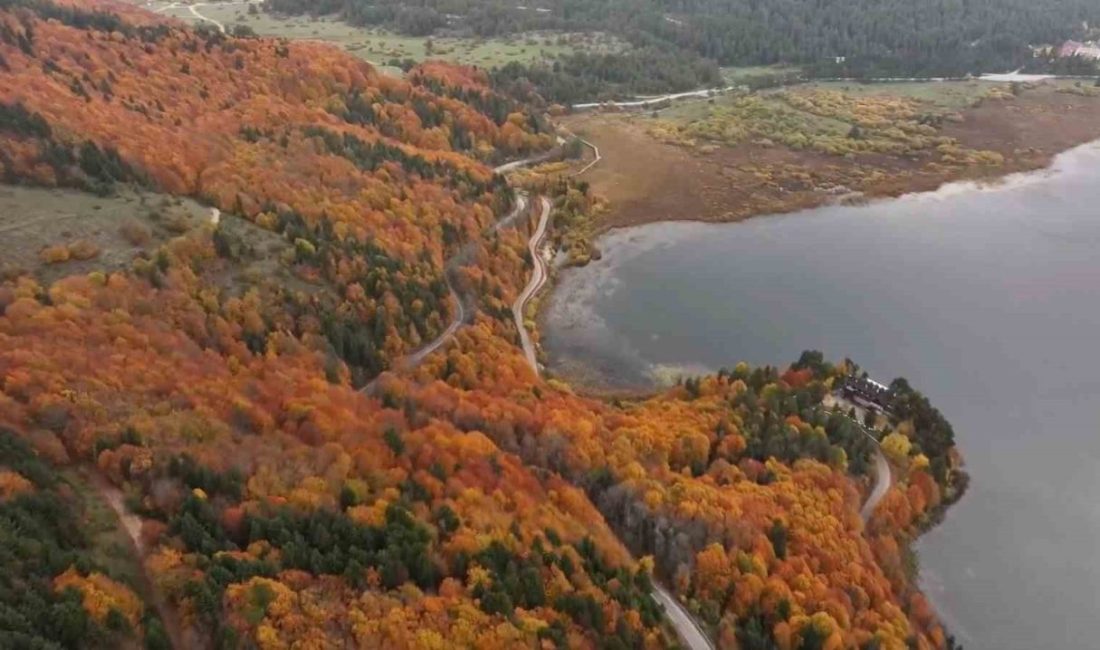 Bolu’nun doğa harikası Abant’ta ziyaretçiler akın etti Bolu’nun doğa harikası Abant Gölü Milli Parkı, hafta sonunda ziyaretçi