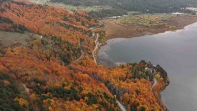 Bolu’nun doğa harikası Abant Gölü Milli Parkı, hafta sonunda ziyaretçi