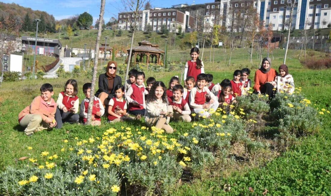 Düzce Üniversitesi Süs ve Tıbbi Bitkiler Botanik Bahçesi, küçük yaşta