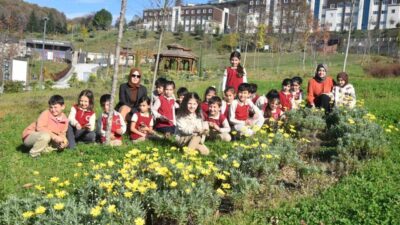 Düzce Üniversitesi Süs ve Tıbbi Bitkiler Botanik Bahçesi, küçük yaşta