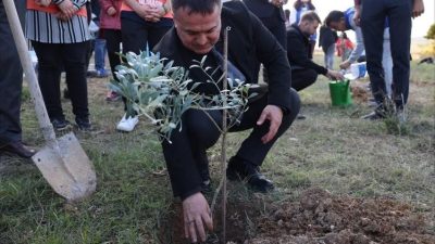 Bilecik Şeyh Edebali Üniversitesi’nde gerçekleştirilen “Kampüsüne bir zeytin dalı da