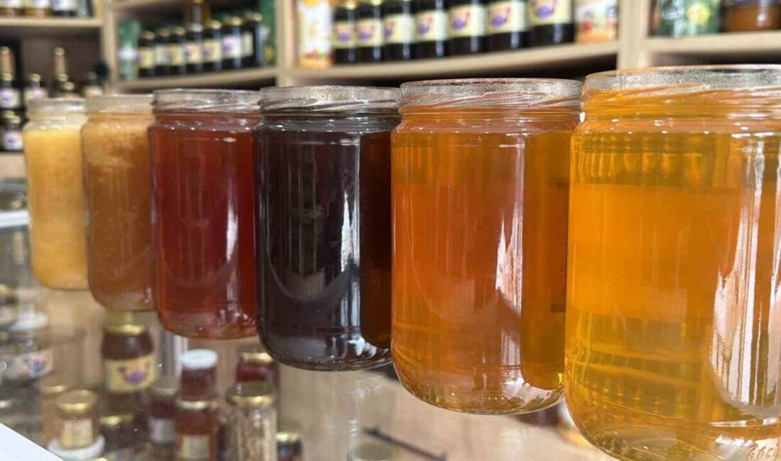 Düzce’nin Yığılca ilçesinde üretilen coğrafi işaretli kestane ve orman gülü