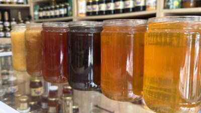 Düzce’nin Yığılca ilçesinde üretilen coğrafi işaretli kestane ve orman gülü