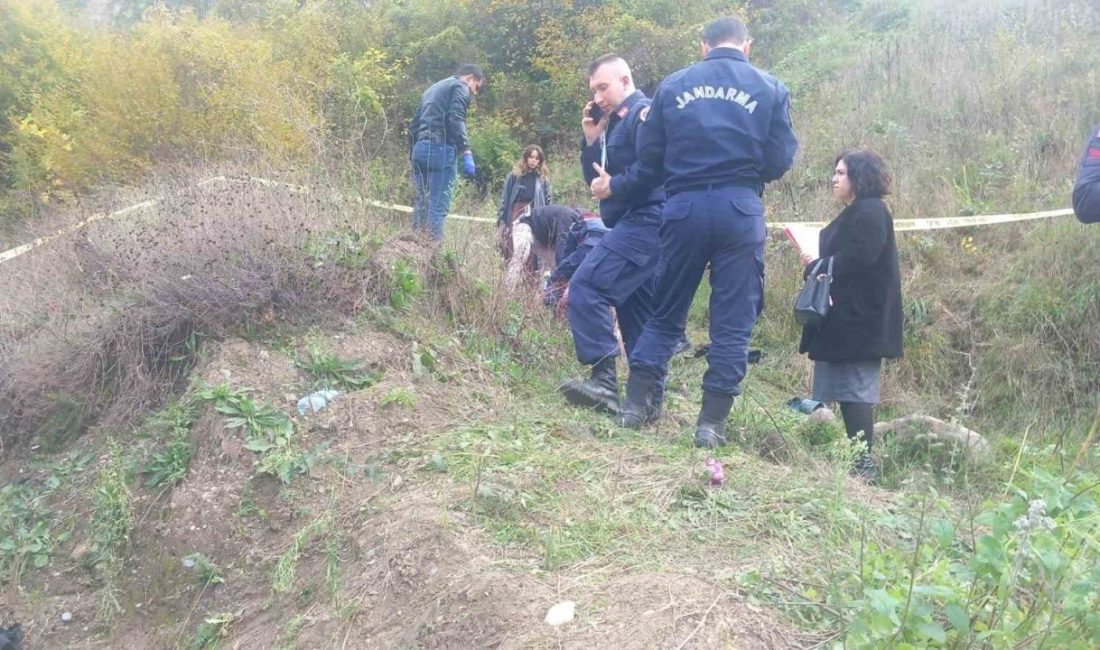 D-140’ta feci kaza: Araç şarampole uçtu, 1 ölü 3 yaralı Sakarya’nın Akyazı ilçesi D-140 kara yolunda sürücüsünün kontrolünden çıkarak metrelerce