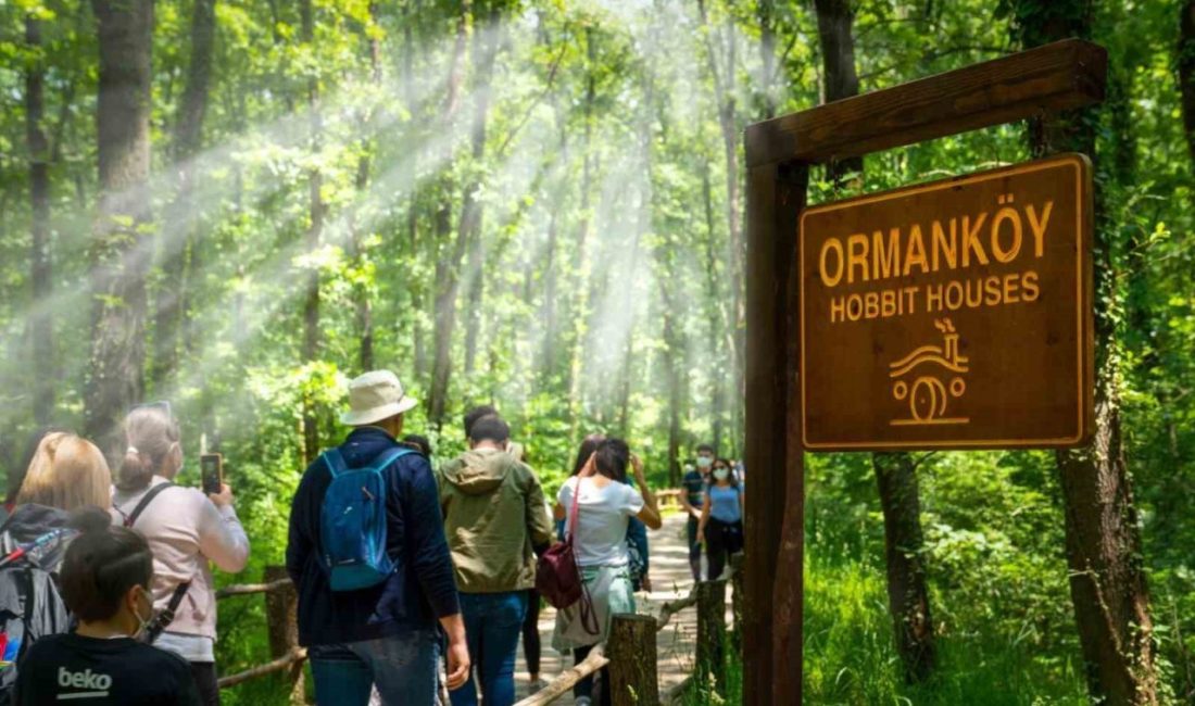 Doğa turizminde Kocaeli imzası Kocaeli’deki Ormanya ve Kuzuyayla, bu yaz sezonunda da yerli turizmin