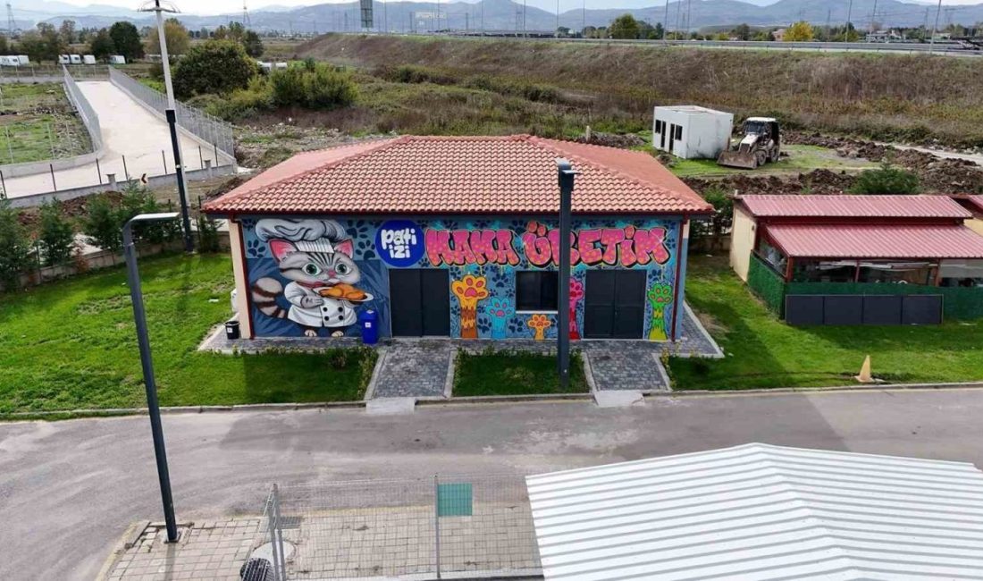 Sakarya Büyükşehir Belediyesi, bakımevinde olan sokak hayvanlarının beslenme ihtiyacını karşılamak