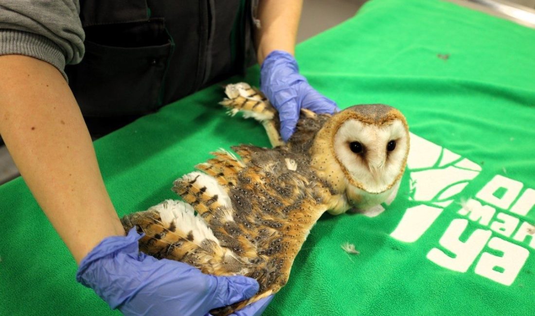 Kocaeli’de Avrupa’nın en büyük doğal yaşam parklarından biri olarak belirtilen