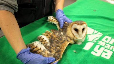 Kocaeli’de Avrupa’nın en büyük doğal yaşam parklarından biri olarak belirtilen