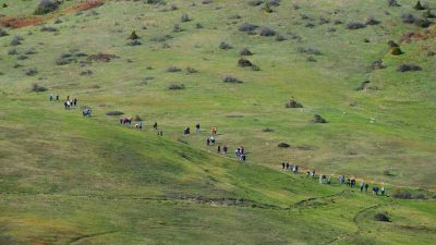 Doğaseverlerin bu haftaki rotası Karagöl ve Sultanpınarı Yaylası oldu Sakarya Büyükşehir Belediyesi’nin düzenlediği Sonbahar Doğa Yürüyüşleri, Karagöl ve Sultanpınarı