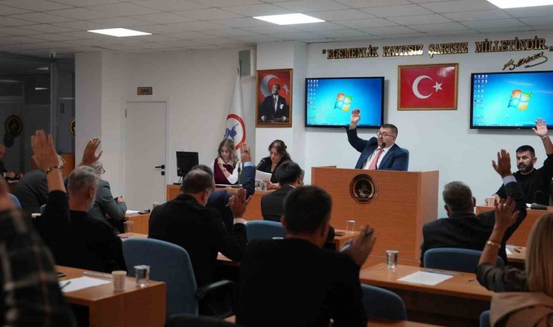 Düzce Belediye Meclisi, Kasım ayı 3. Birleşimi Meclis başkanvekili Av.