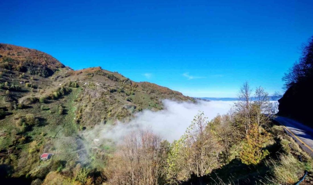Düzce güne sisle uyandı Düzce’de etkili olan yoğun sis, kent genelinde görüş mesafesini düşürdü.