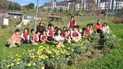 Düzce Üniversitesi Süs ve Tıbbi Bitkiler Botanik Bahçesi, küçük yaşta