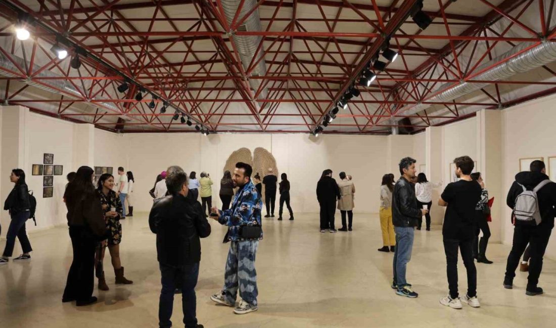 Düzce Üniversitesinde “İçinde Bir Şey” sergisi açıldı Düzce Üniversitesi Sanat Tasarım ve Mimarlık Fakültesi’nde Dr. Öğr. Üyesi