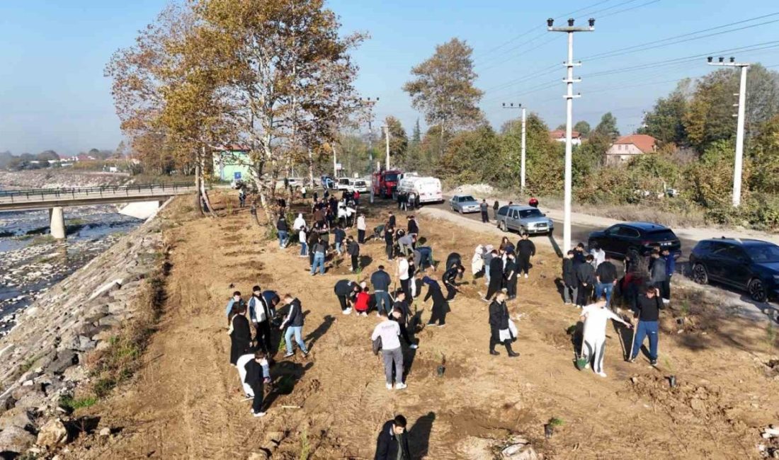 11 Kasım Milli Ağaçlandırma Günü kapsamında ülkemizde başlatılan Yeşil Vatan
