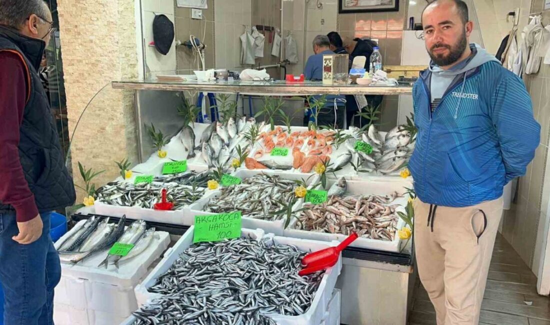 DÜZCE(İHA) – Düzce’de bu yıl balık bolluğu yaşanıyor ancak Karadeniz’den