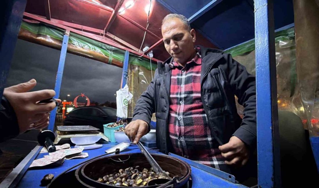 Düzce’nin tescilli “kuzu kestanesi”, sokak tezgahlarındaki yerini aldı. Düzce’nin ormanlarında