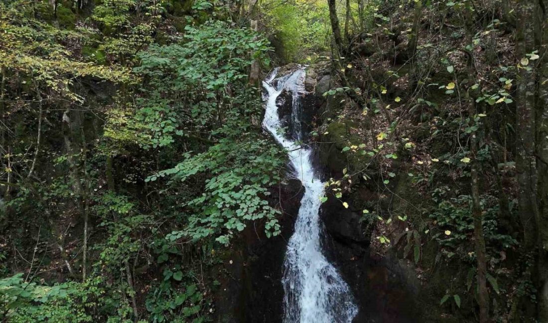 Düzce’nin saklı cenneti Düzce’nin Aydınpınar köyünde bulunan ve ağaçların arasından akan Aydınpınar Şelalesi