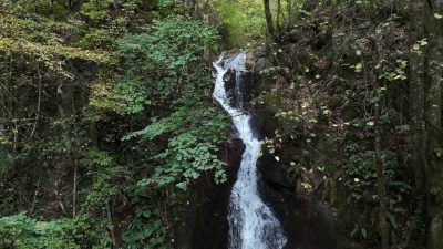 Düzce’nin Aydınpınar köyünde bulunan ve ağaçların arasından akan Aydınpınar Şelalesi
