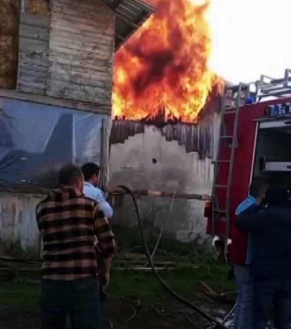 Ev ve samanlık alev topuna döndü Sakarya’nın Hendek ilçesinde evde çıkan yangın bitişiğindeki samanlığa sıçradı. Ev