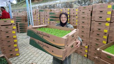 Gebze’de tarımsal üretimi güçlendirmek ve maliyetlerini azaltmak amacıyla çiftçilere toplam