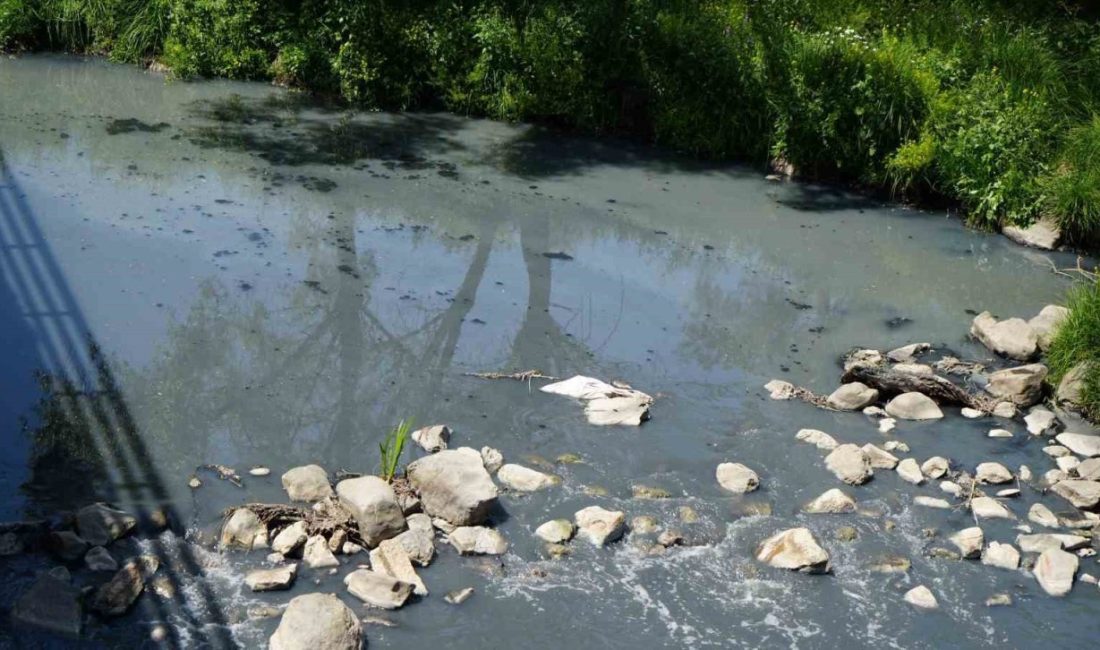 Gerede’de fabrikaların zehrini kustuğu derenin yeniden davası görülecek Bolu’nun Gerede ilçesinde Deri ve Karma Organize Sanayi Bölgesi’ndeki fabrikaların