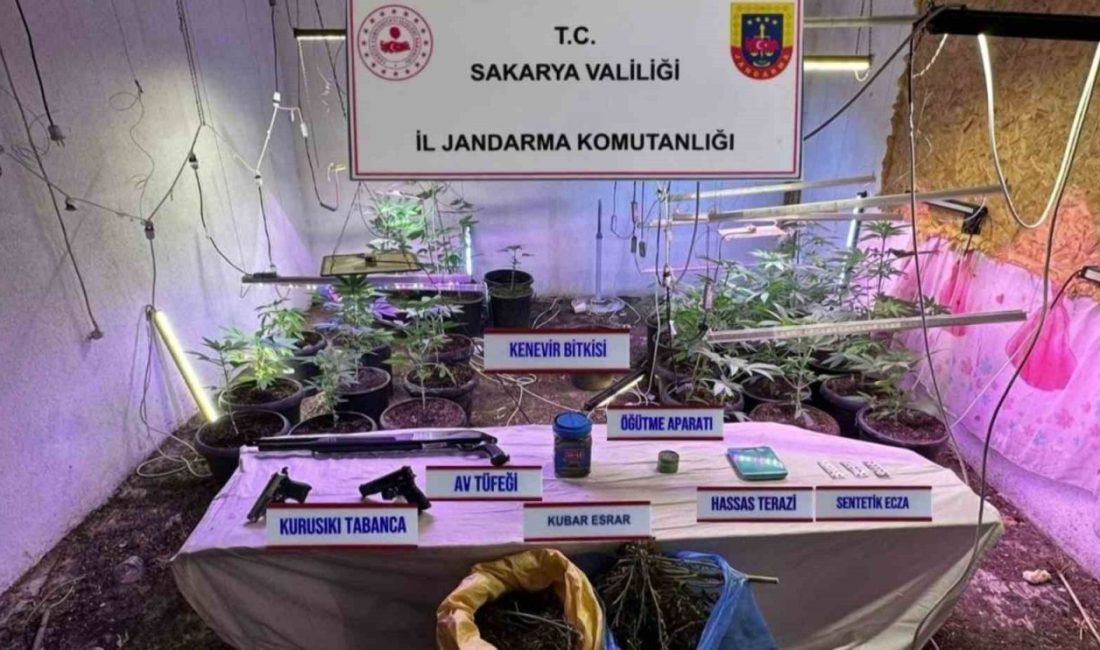 Sakarya’da jandarma ekiplerince uyuşturucu suçlarıyla mücadele çerçevesinde düzenlenen operasyonlarda iki