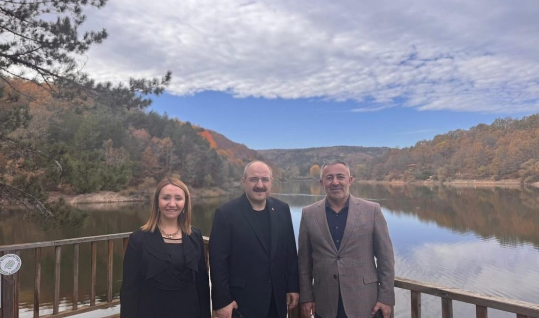 Ak Parti Bilecik İl Başkanı Serkan Yıldırım, önceki dönem Sanayi