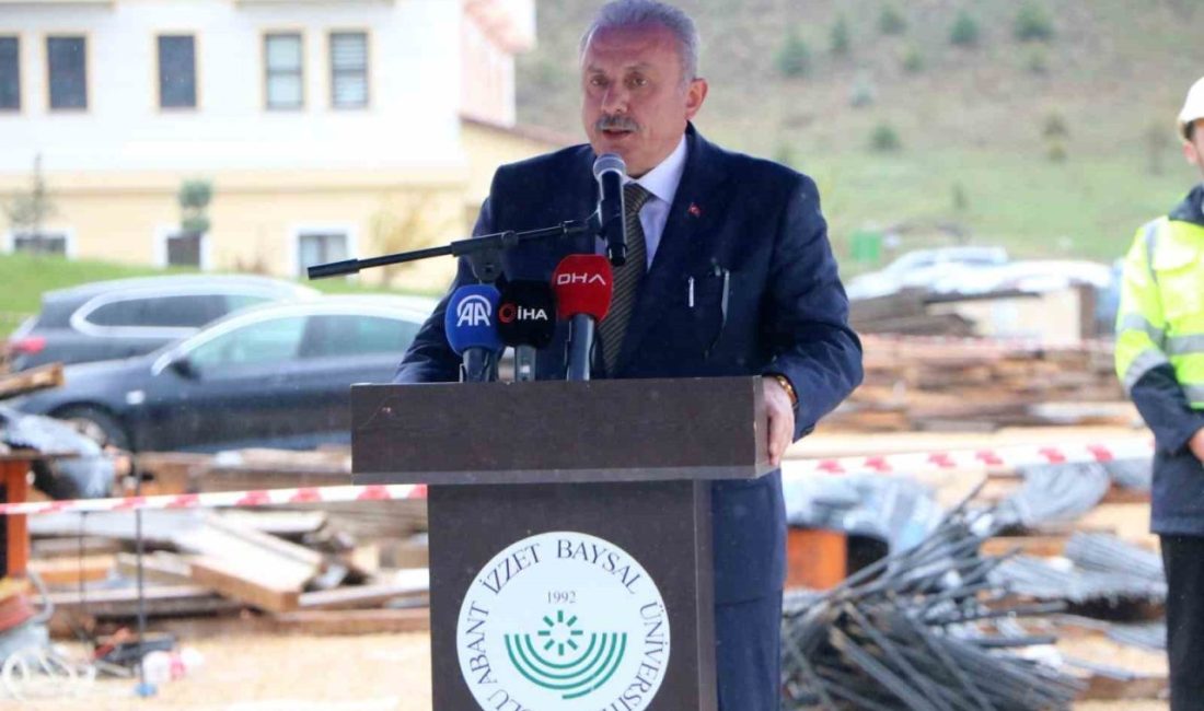 Bolu Abant İzzet Baysal Üniversitesi (BAİBÜ) İlahiyat Fakültesi’nin yeni ek